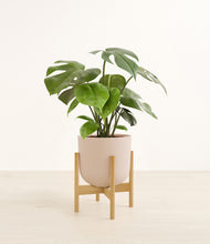 Load image into Gallery viewer, Sandy Pink stand:bamboo