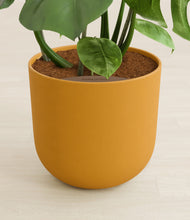 Load image into Gallery viewer, Sunset Orange stand:all