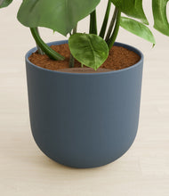 Load image into Gallery viewer, Iron Gray stand:all