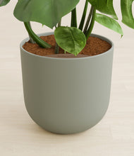 Load image into Gallery viewer, Sage Green stand:all