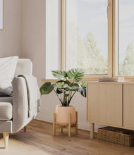 Load image into Gallery viewer, Gentle Pink stand:light