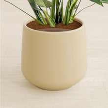 Load image into Gallery viewer, Almond Green stand:all