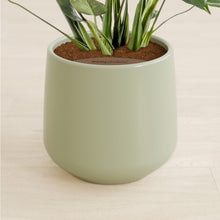 Load image into Gallery viewer, Turquoise stand:all