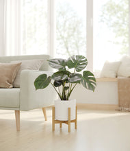Load image into Gallery viewer, White stand:light