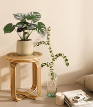 Load image into Gallery viewer, Almond Green