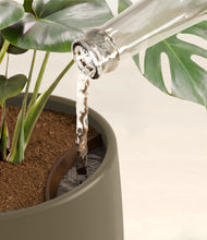 Load image into Gallery viewer, Olive stand:all