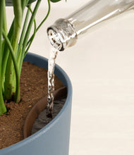 Load image into Gallery viewer, Iron Gray stand:all