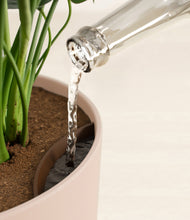 Load image into Gallery viewer, Sandy Pink stand:all