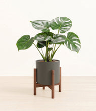Load image into Gallery viewer, Dark Olive stand:dark