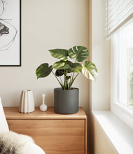 Load image into Gallery viewer, Dark Olive