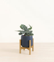 Load image into Gallery viewer, Deep Navy stand:bamboo