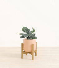 Load image into Gallery viewer, Gentle Pink stand:bamboo