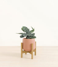 Load image into Gallery viewer, Calm Rose stand:bamboo