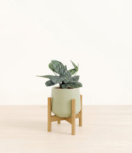 Load image into Gallery viewer, Turquoise stand:bamboo