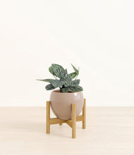 Load image into Gallery viewer, Desert Brown stand:bamboo