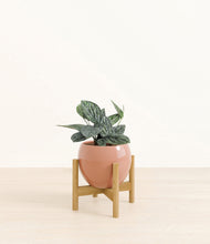 Load image into Gallery viewer, Calm Rose stand:bamboo