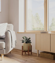Load image into Gallery viewer, Olive stand:walnut