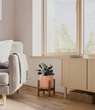 Load image into Gallery viewer, Calm Rose stand:walnut