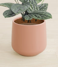 Load image into Gallery viewer, Calm Rose stand:all