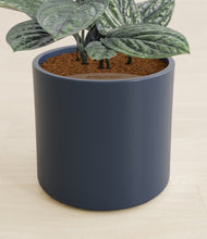Load image into Gallery viewer, Deep Navy stand:all