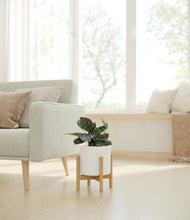 Load image into Gallery viewer, White stand:light