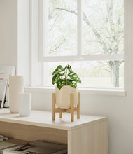 Load image into Gallery viewer, Almond Green stand:bamboo