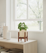 Load image into Gallery viewer, Almond Green stand:walnut