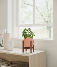 Load image into Gallery viewer, Calm Rose stand:walnut