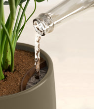 Load image into Gallery viewer, Olive stand:all