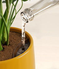 Load image into Gallery viewer, Mustard stand:all