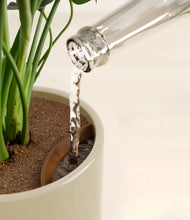 Load image into Gallery viewer, Sage Green stand:all