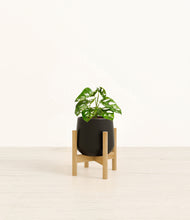 Load image into Gallery viewer, Black stand:bamboo