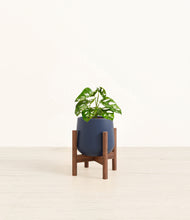 Load image into Gallery viewer, Deep Navy stand:walnut