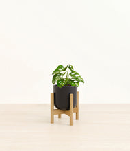 Load image into Gallery viewer, Stone Black stand:bamboo