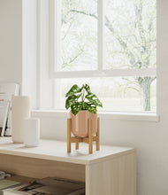 Load image into Gallery viewer, Glossy Pink stand:all