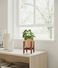 Load image into Gallery viewer, Glossy Pink stand:walnut