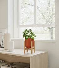 Load image into Gallery viewer, Earth Red stand:bamboo