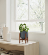 Load image into Gallery viewer, Iron Gray stand:walnut