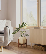Load image into Gallery viewer, Almond Green stand:walnut