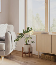 Load image into Gallery viewer, Eternal Gray stand:walnut