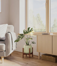 Load image into Gallery viewer, Turquoise stand:walnut