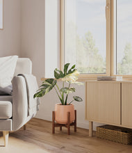 Load image into Gallery viewer, Calm Rose stand:walnut