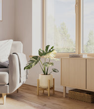 Load image into Gallery viewer, Almond Green stand:bamboo