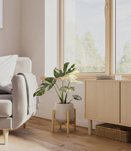 Load image into Gallery viewer, Eternal Gray stand:bamboo