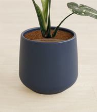 Load image into Gallery viewer, Deep Navy stand:all