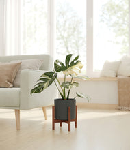 Load image into Gallery viewer, Dark Olive stand:walnut
