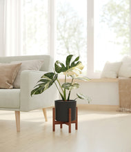 Load image into Gallery viewer, Black stand:walnut