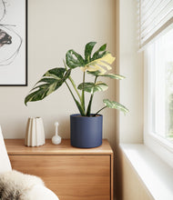 Load image into Gallery viewer, Deep Navy