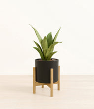 Load image into Gallery viewer, Black stand:bamboo