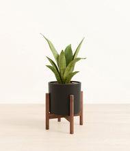 Load image into Gallery viewer, Black stand:walnut